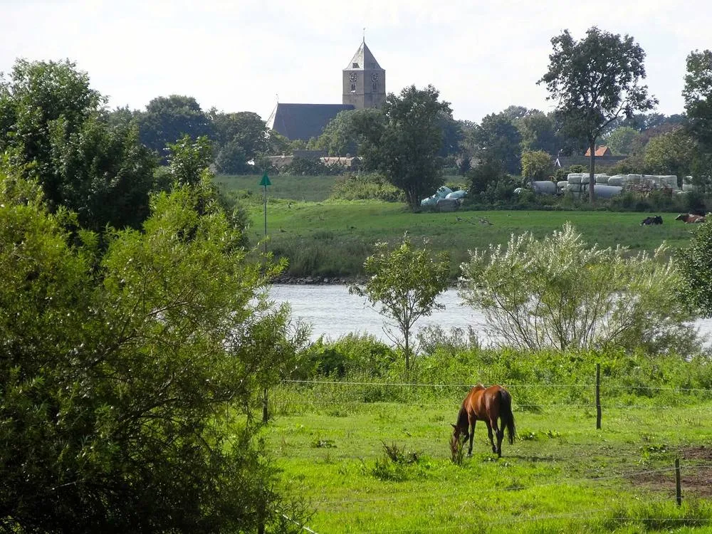 Zalk: 20150909 IJssel nabij Veecaten zicht op Zalk